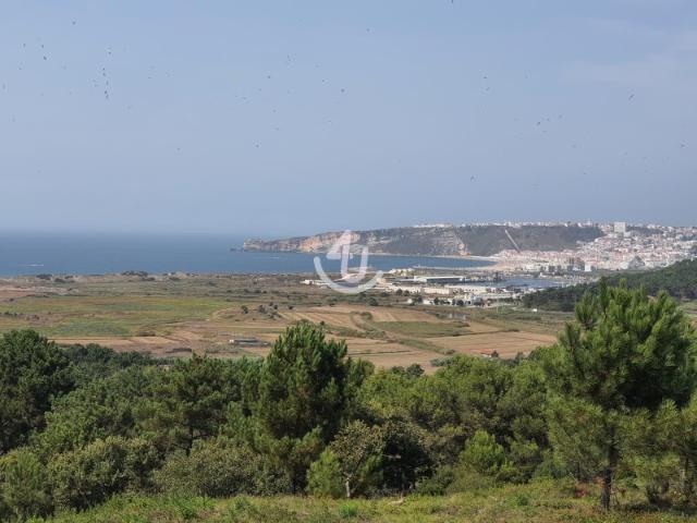 Terreno com vista para o mar da Nazaré