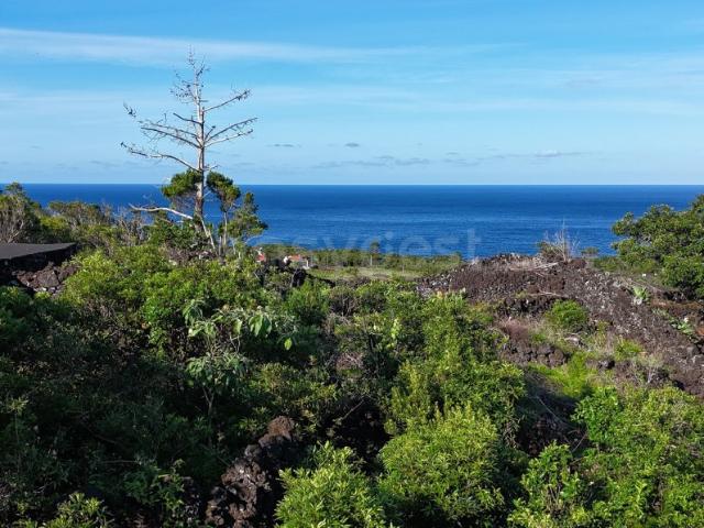 Terreno com Vista Mar e Montanha do Pico S. Mateus, Madalena, Ilha do Pico