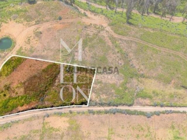 Terreno com Vista Mar e Potencial de Construção Corujeira, Ponta do Pargo