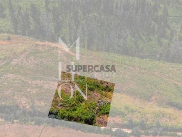 Terreno com Vista Mar e Potencial de Construção Corujeira, Ponta do Pargo