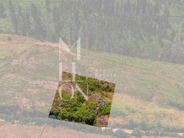 Terreno com Vista Mar e Potencial de Construção — Corujeira, Ponta do Pargo