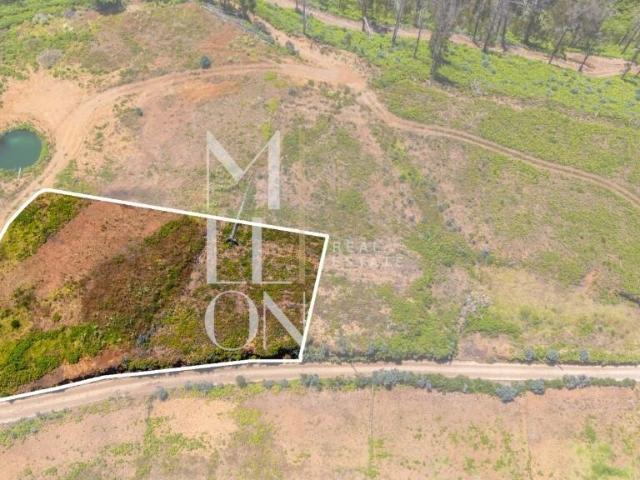 Terreno com Vista Mar e Potencial de Construção — Corujeira, Ponta do Pargo