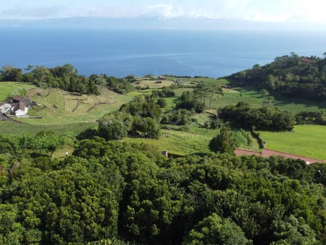 Terreno com Vista Mar e Potencial de Construção, Prainha, São Roque do Pico