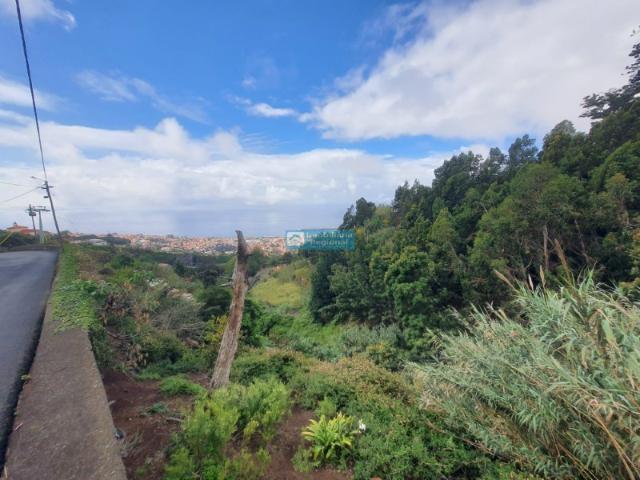 Terreno com vista mar Livramento, Funchal