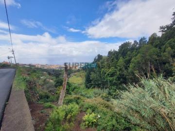 Terreno com vista mar Livramento, Funchal