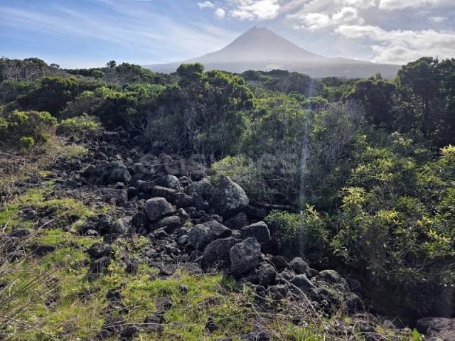 Terreno com Vista Mar e Montanha em Zona de Paisagem Protegida da Vinha