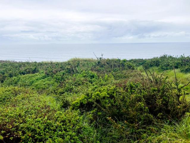 Terreno com vista mar na Serra do Bouro
