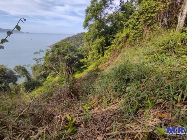Terreno com vista mar, Praia Vermelha do Sul em Ubatuba. Condomínio fechado