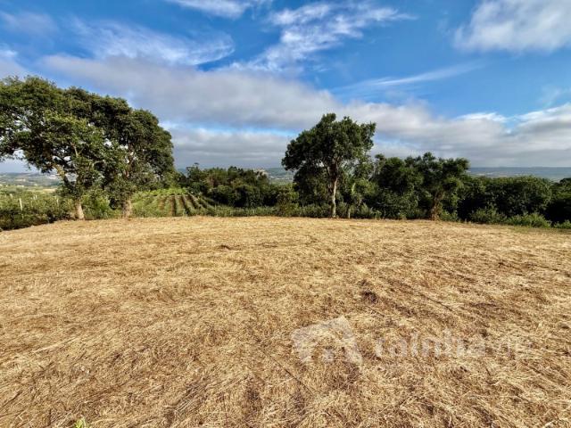 Terreno com vista panorâmica de campo a 15 minutos de São Martinho do Porto