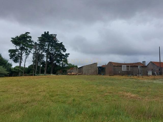 Terreno com Vista Panorâmica em Casal da Eira Cela Nova, Alcobaça 30.000€