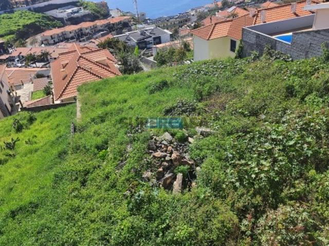 Terreno com Vista Panorâmica para o Mar e Baía do Funchal