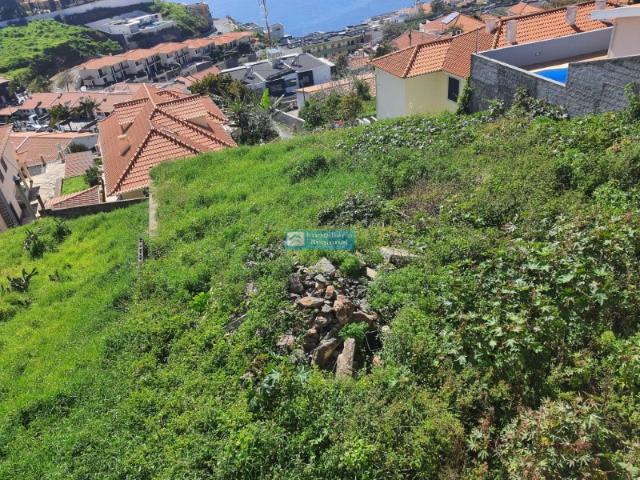 Terreno com Vista Panorâmica para o Mar e Baía do Funchal