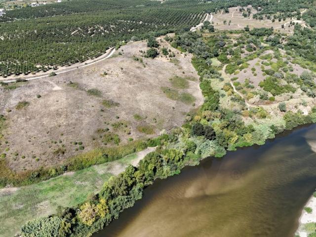 Terreno Excecional com Vista Panorâmica para o Rio Tejo — Vale de Figueira, Santarém