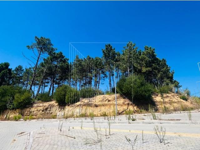 Terreno com vista para Palácio da Pena Sintra