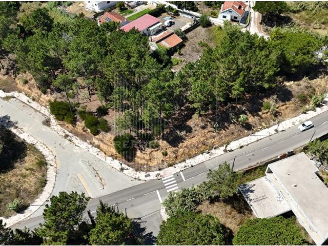 Terreno com vista para Palácio da Pena Sintra