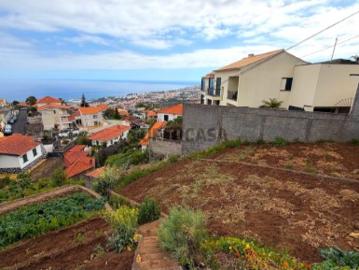 Terreno com Vista sobre o Funchal Livramento Monte