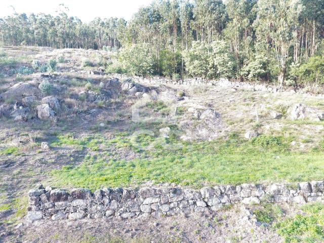Terreno com zona de construção, Baltar, Paredes