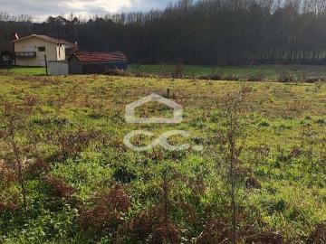 Terreno com Zona de Construção, Bustelo, Penafiel