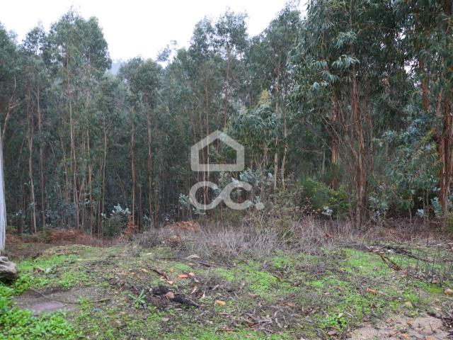 Terreno com zona de construção, Lagares e Figueira, Penafiel