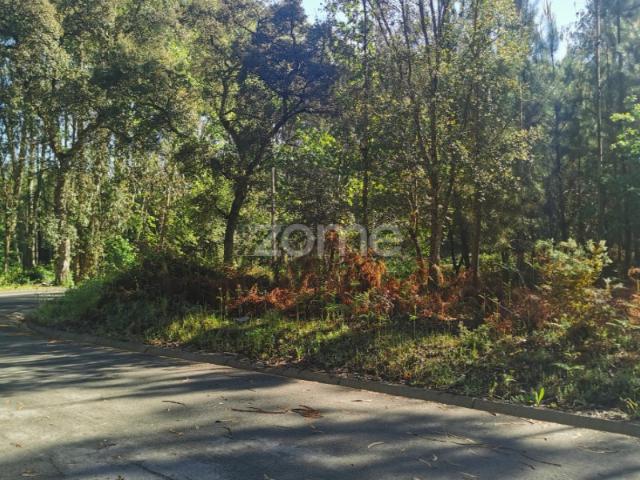 Terreno, com acesso betuminoso, gaveto, 2 frentes, Recardães, Águeda