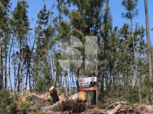 Terreno com acesso direto à EN356
