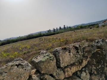Terreno com acesso pela EN 17 Gouveia Seia