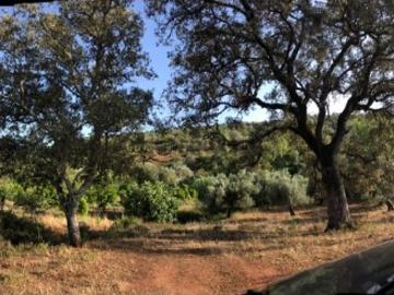 Alte, Loulé, Distrito de Faro, Algarve