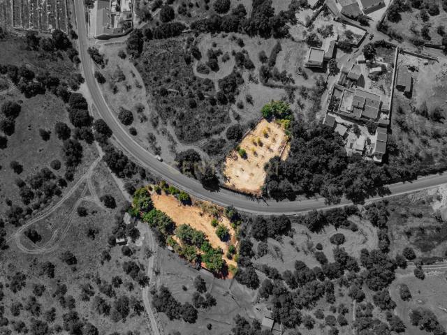 Terreno com alfarrobeiras e bons acessos perto de Paderne
