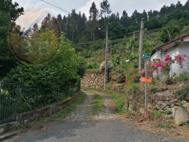 TERRENO COM APROXIMADAMENTE 14.000M² EM CERVA, RIBEIRA DE PENA