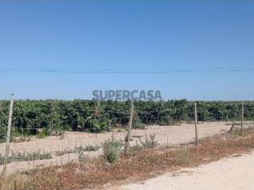 Águas de Moura, Poceirão e Marateca - Despensa