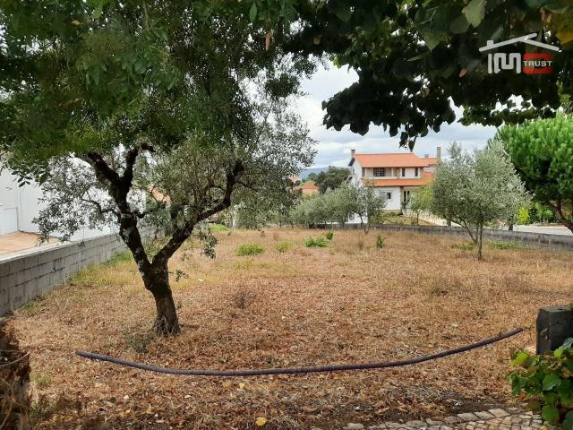 TERRENO COM ÁREA DE 1588m2 em Fátima
