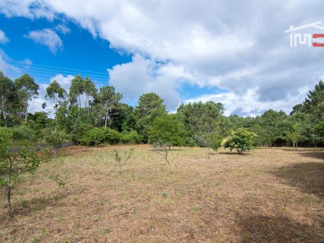 TERRENO COM ÁREA DE 3800 M2. MUITO BOA LOCALIZAÇÃO EM CASAIS DE S.MAMEDE