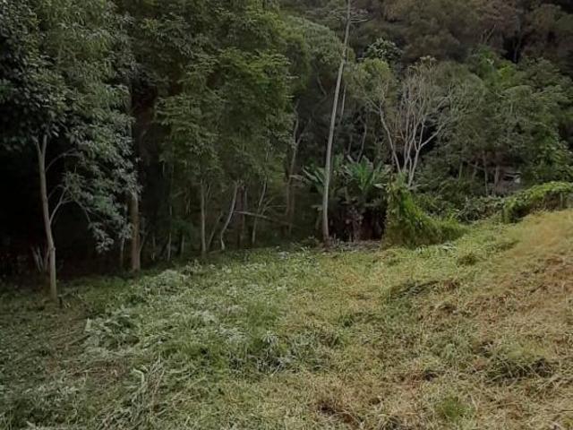 TERRENO COM ÁREA DESMATADA, PRÓXIMO AO CENTRO DA CIDADE