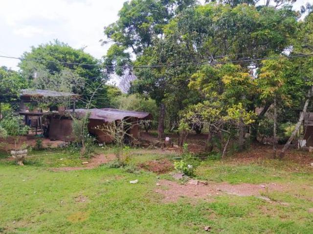 terreno com área quase 20 mil metros na sucupira riacho fundo 1