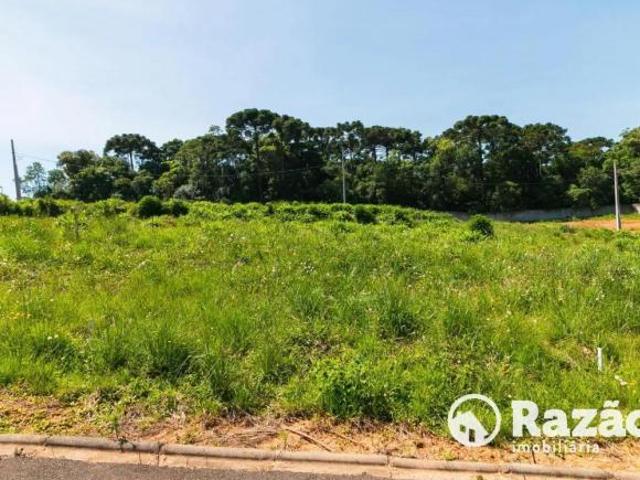TERRENO COM ÁREA TOTAL 174,48m² GRALHA AZUL/FAZENDA RIO GRANDE PR REF 5698