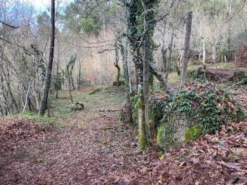Quinta dos Chãos Refúgio Natural para Agricultura