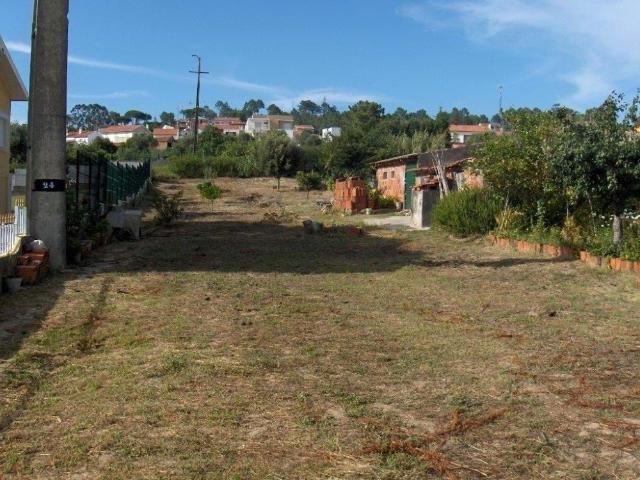 Terreno com árvores de fruto para construção de moradia