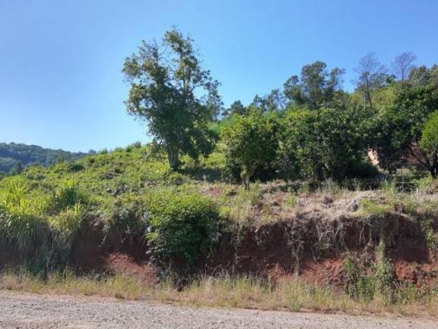 Terreno com Bela Vista e Preço Especial