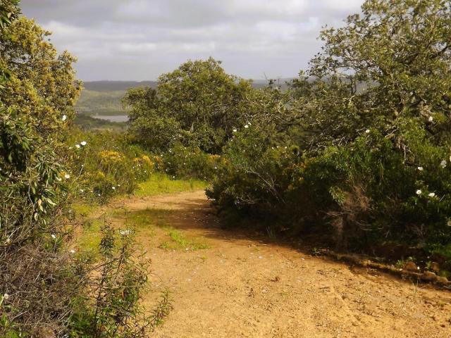 Terreno com bonitas vistas e privacidade