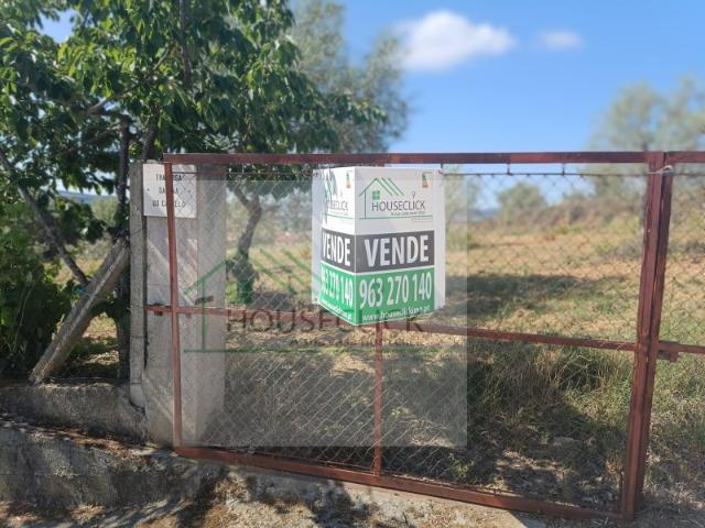 Terreno com bons acessos e oliveiras nos Três Povos