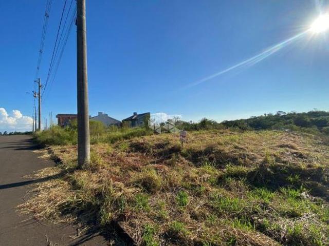 Terreno com boa topografia na João Alves