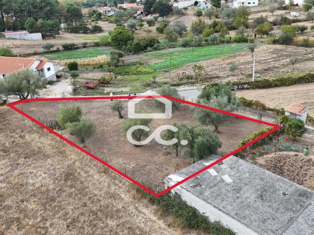 Terreno com Capacidade de Construção para Moradia Unifamiliar, todo vedado e desafogado
