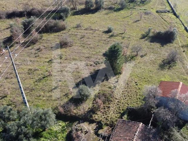 Terreno com Casa Agrícola e uma outra para recuperar Valverde Fundão