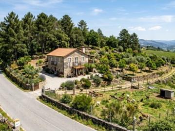 Refúgio na Serra do Marão: Terreno de 4.600 m² com Casa Agrícola em Amarante
