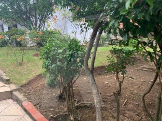 Terreno com casa antiga 2 dormitórios na Vila Maria Alta