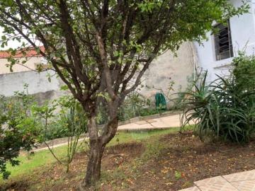Terreno com casa antiga 2 dormitórios na Vila Maria Alta
