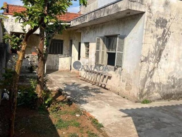 Terreno com casa antiga à venda, 251 m² por R$ 589.000 Vila Curuçá Velha São Paulo/SP