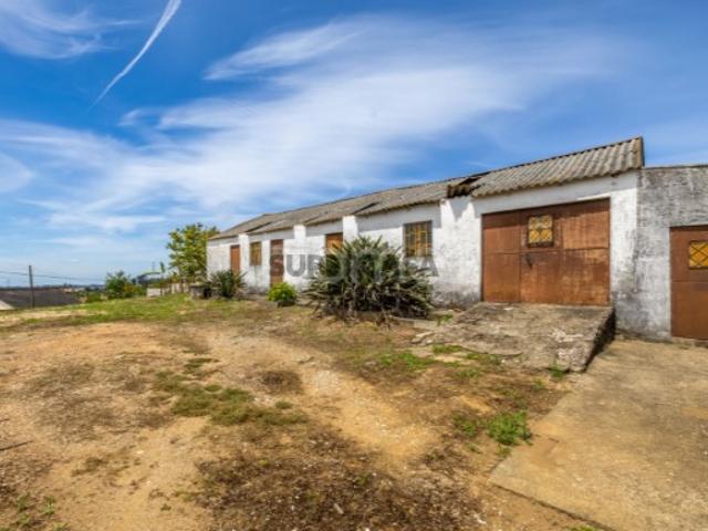 Terreno com Casa de Apoio Agrícola em Tomar
