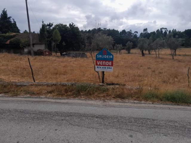 Terreno com casa de arrumos, anexo, tanque e poço em Carregal do Sal