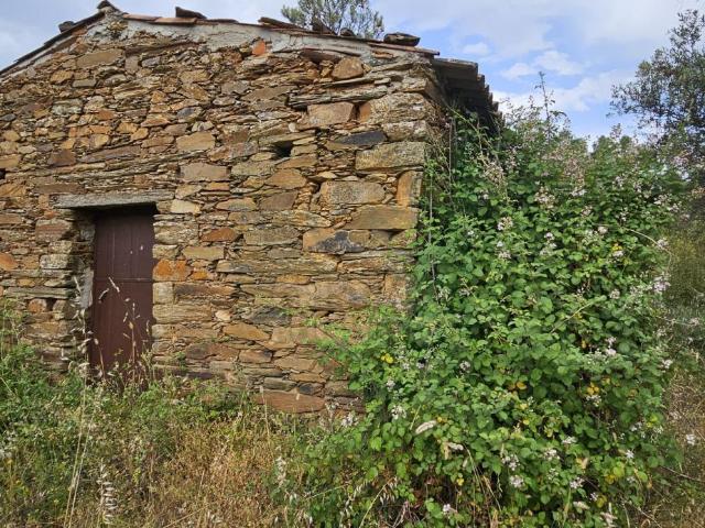 Terreno com casa em Xisto a 15 minutos de Castelo Branco